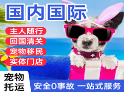 西双版纳机场货运国际宠物托运 【国